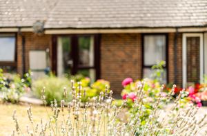 Lifestyle shot 3- click for photo gallery